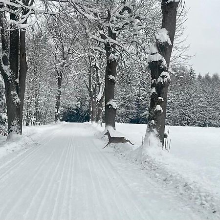 Garsonka V Srdci Vysociny Apartment Žďár nad Sázavou Exterior foto