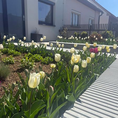 Garsonka V Srdci Vysociny Apartment Žďár nad Sázavou Exterior foto