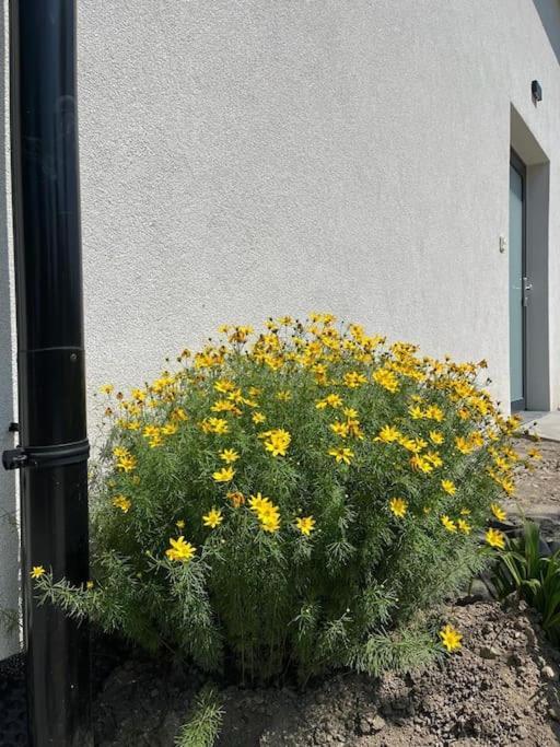 Garsonka V Srdci Vysociny Apartment Žďár nad Sázavou Exterior foto