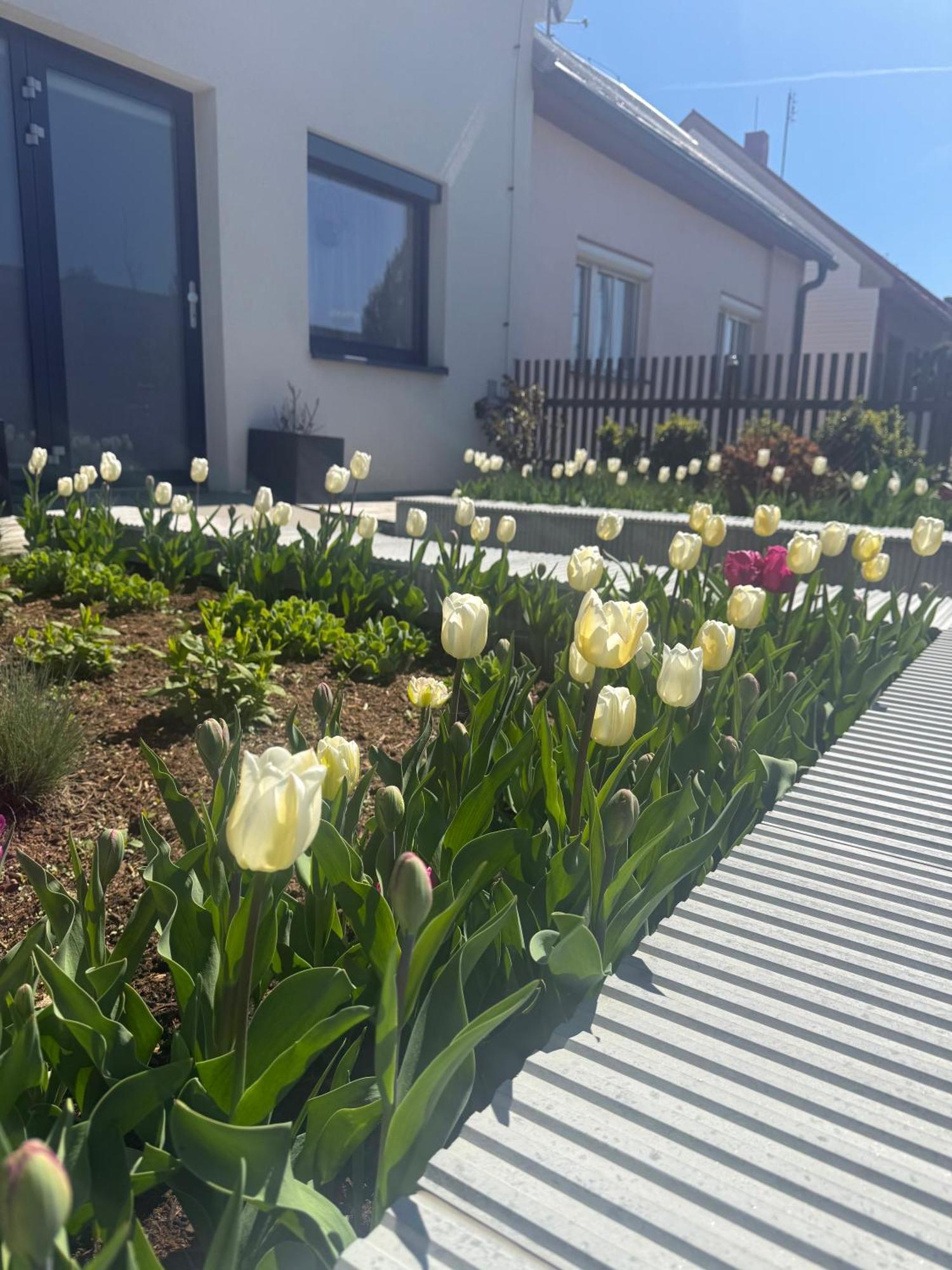 Garsonka V Srdci Vysociny Apartment Žďár nad Sázavou Exterior foto
