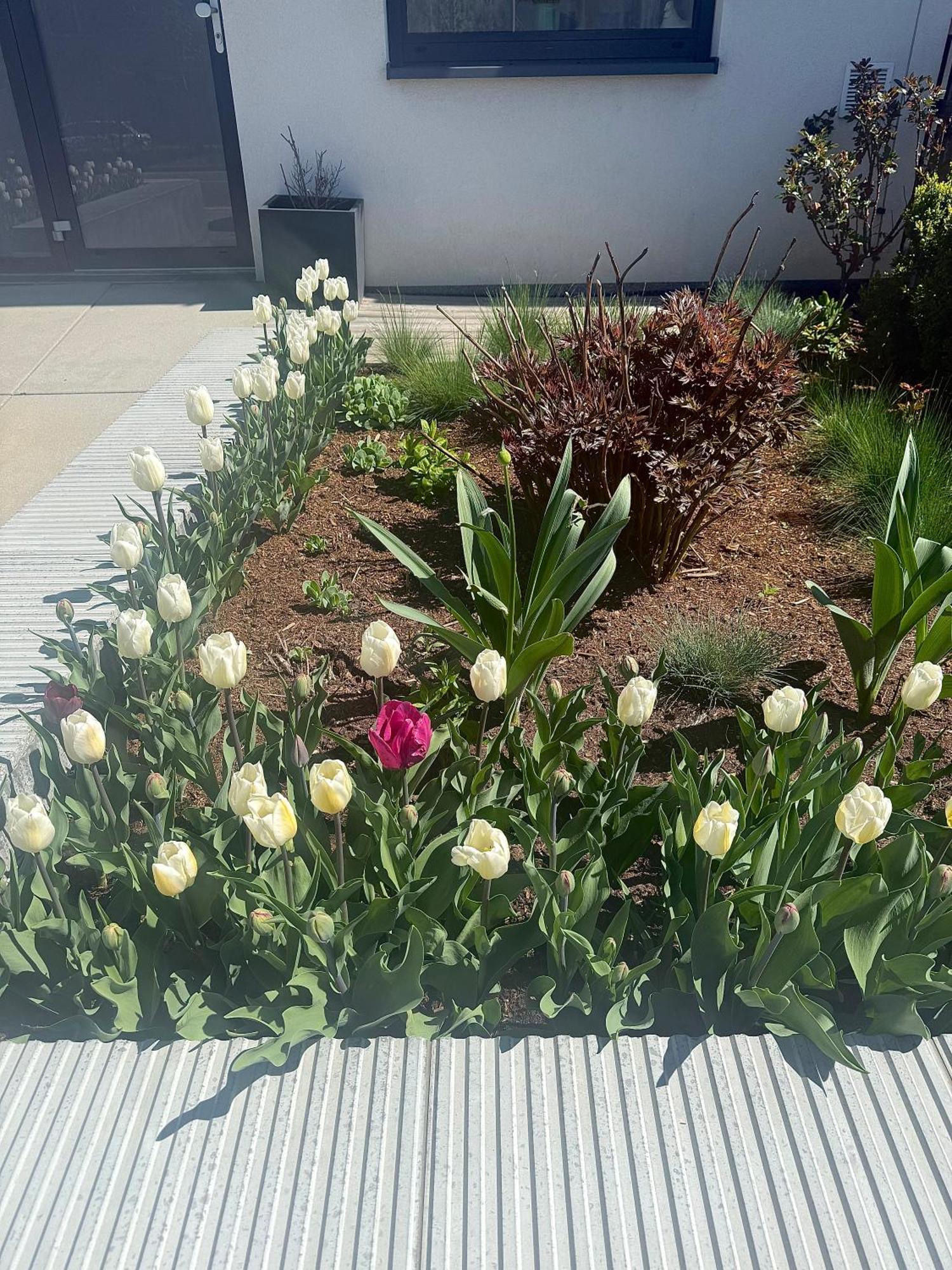 Garsonka V Srdci Vysociny Apartment Žďár nad Sázavou Exterior foto
